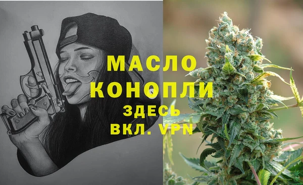стаф Богородск