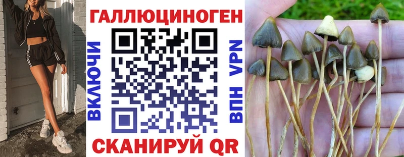 Псилоцибиновые грибы ЛСД Котово